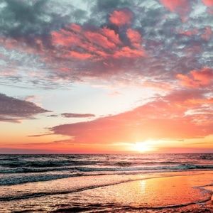 Meet your Posher, Petra